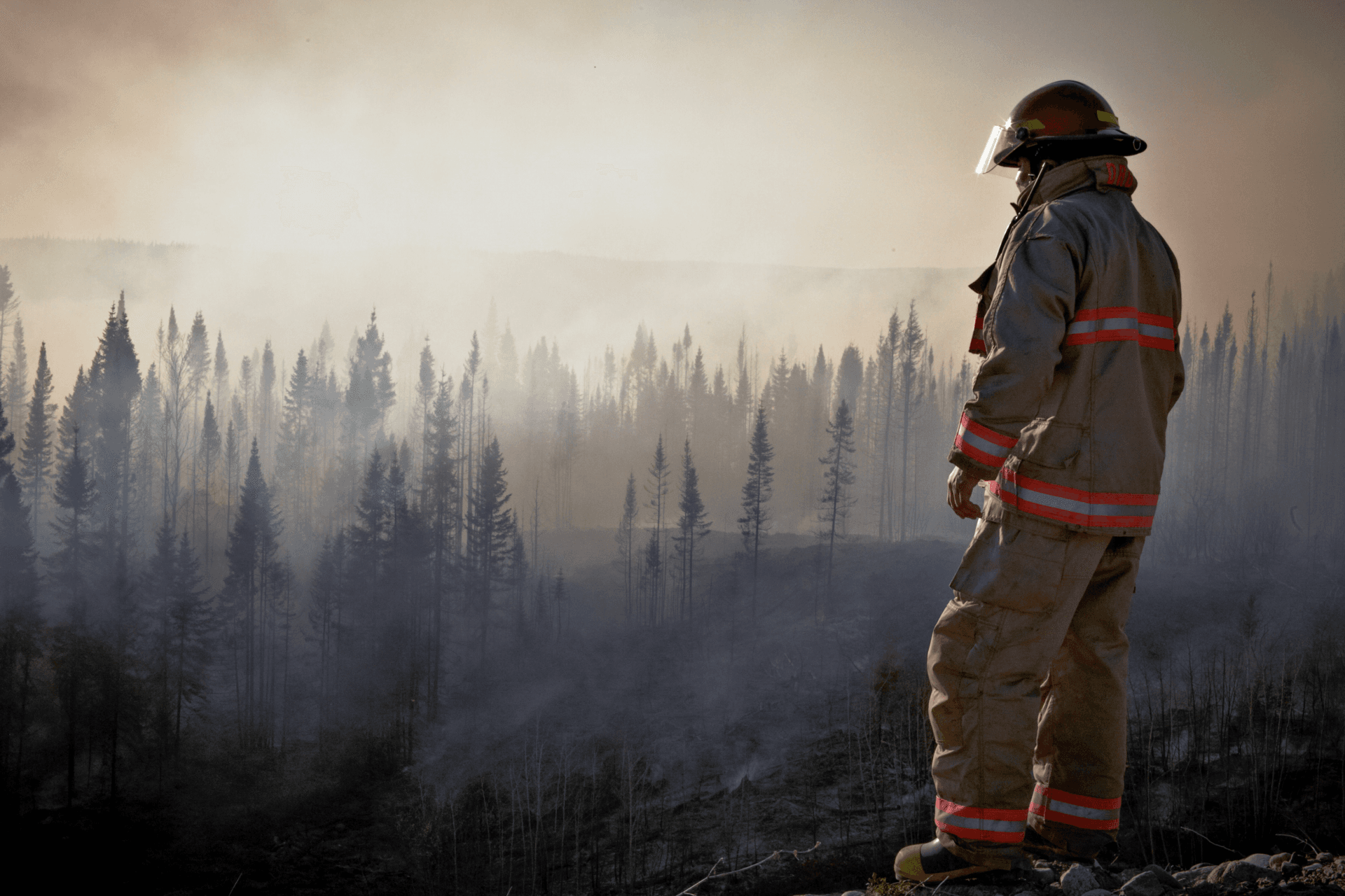 Firefighter watching a forest fire